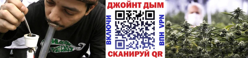 Канабис сатива Купить Сураж